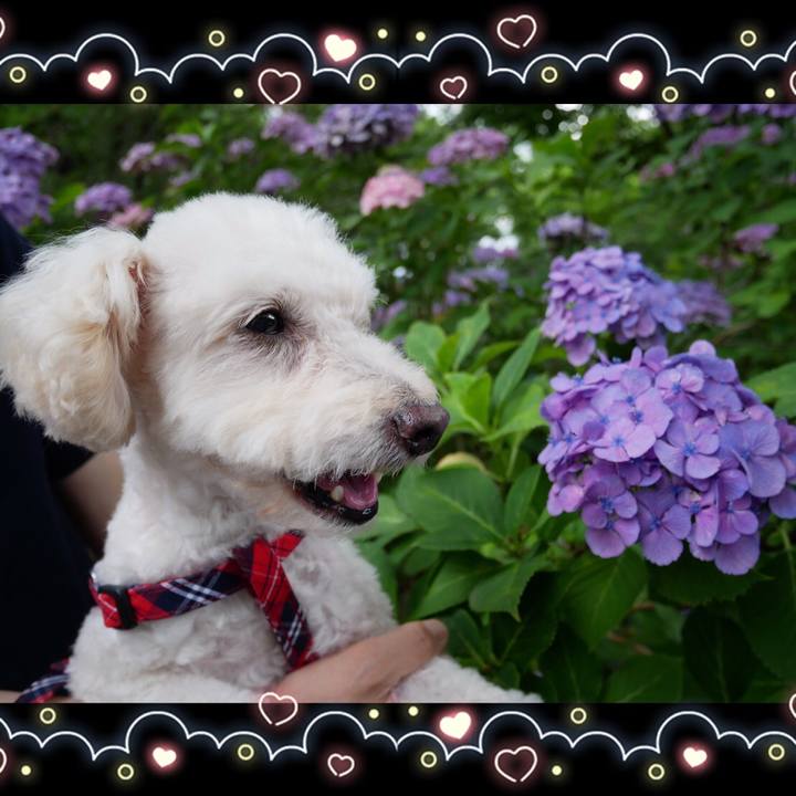 03d1f078 6850 49d1 a89a 28a14d74ad2e