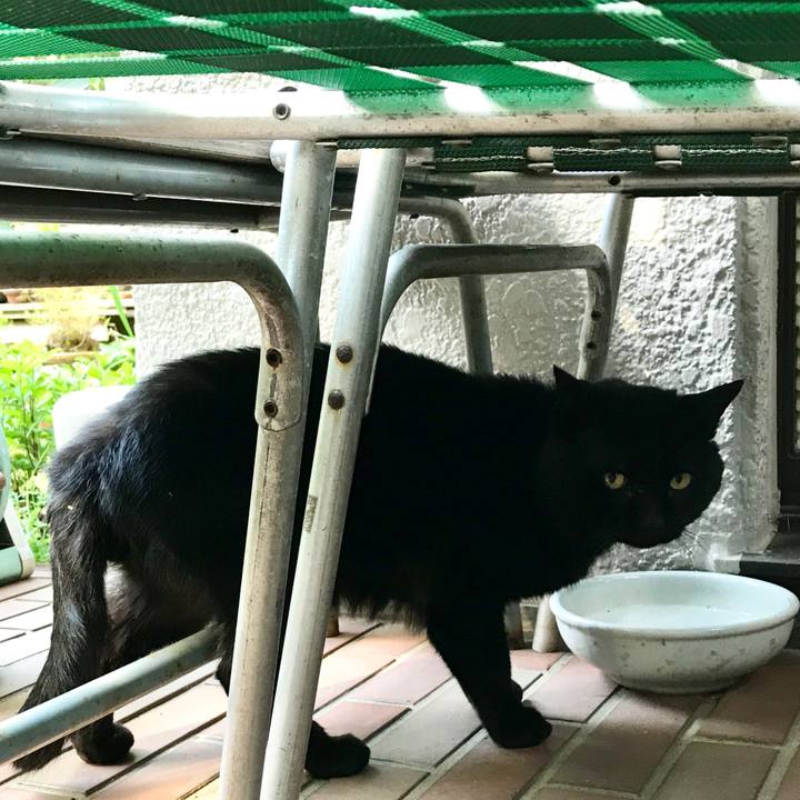 03d2ee16 13e0 411d 96cb 1963fc26b9ab