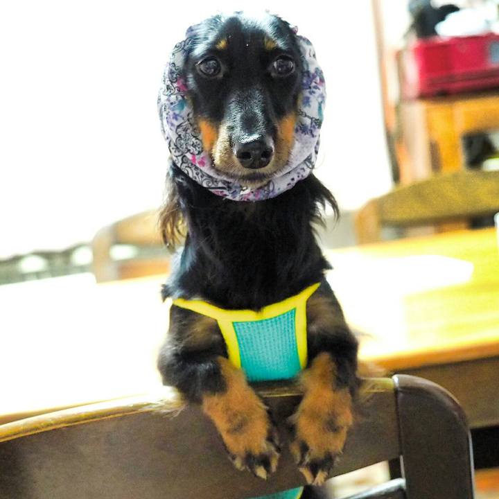 03d33678 788a 4b29 bc09 d8188bbea807