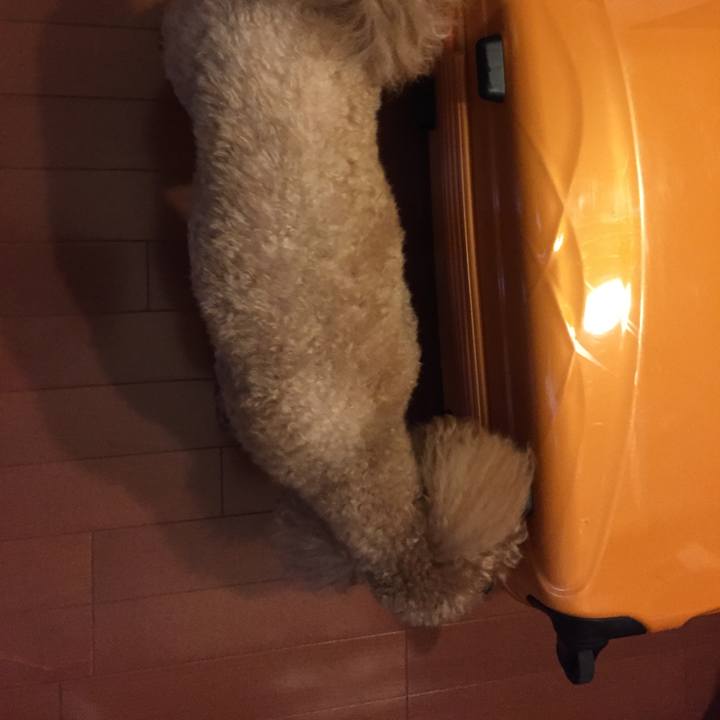 03d342cf 9e6b 46c7 a313 a524a44737c5