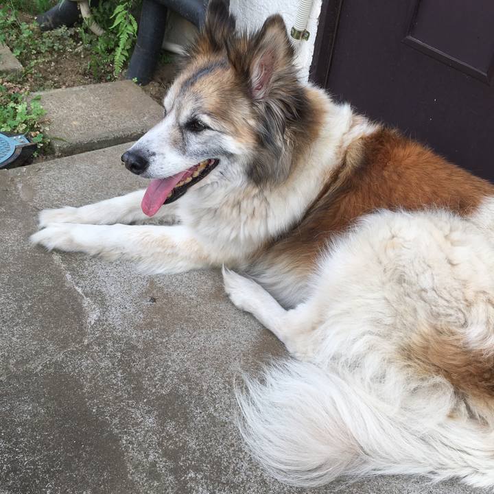 03d48118 9aa4 43e5 a5d4 008f2adbb492