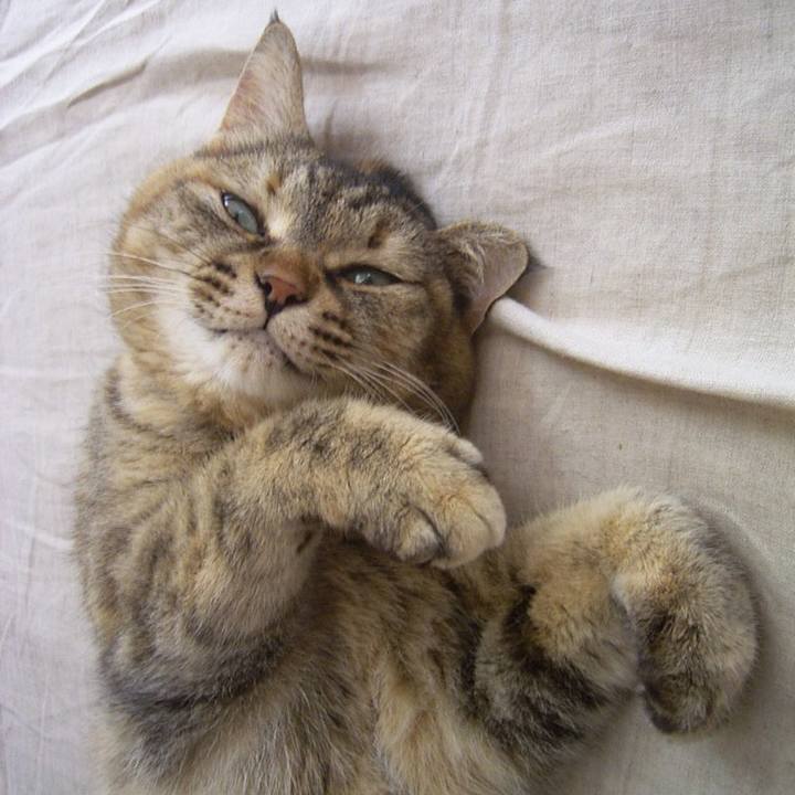 03d5ae8a 9a47 4a54 889c d2cd5f891679