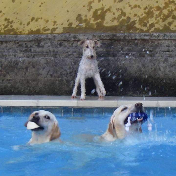 03d61689 7398 4e93 a90e a5fcc951b4a4