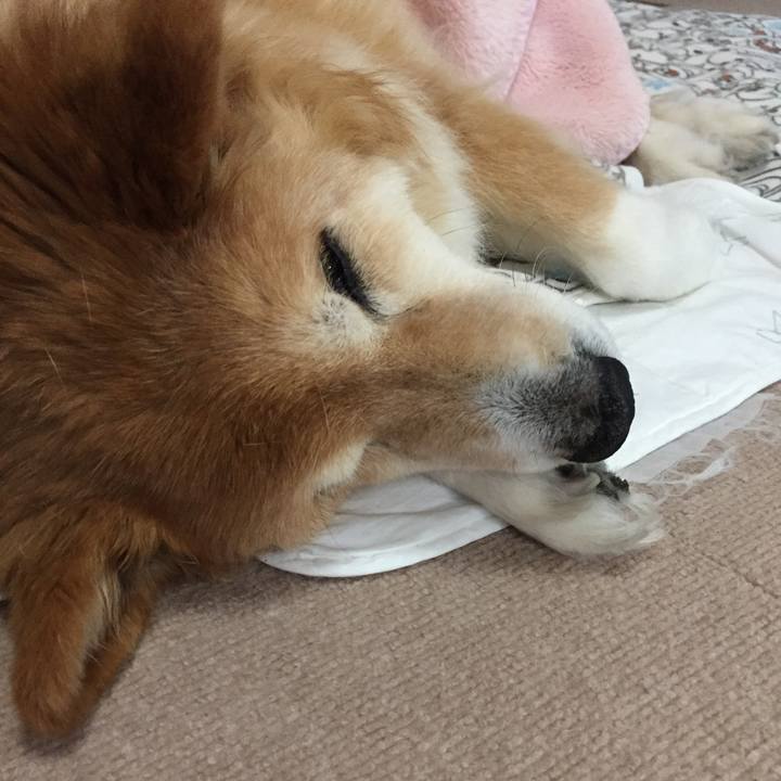 03d75f9b 10c0 41d7 84a1 d873bcd15bf0