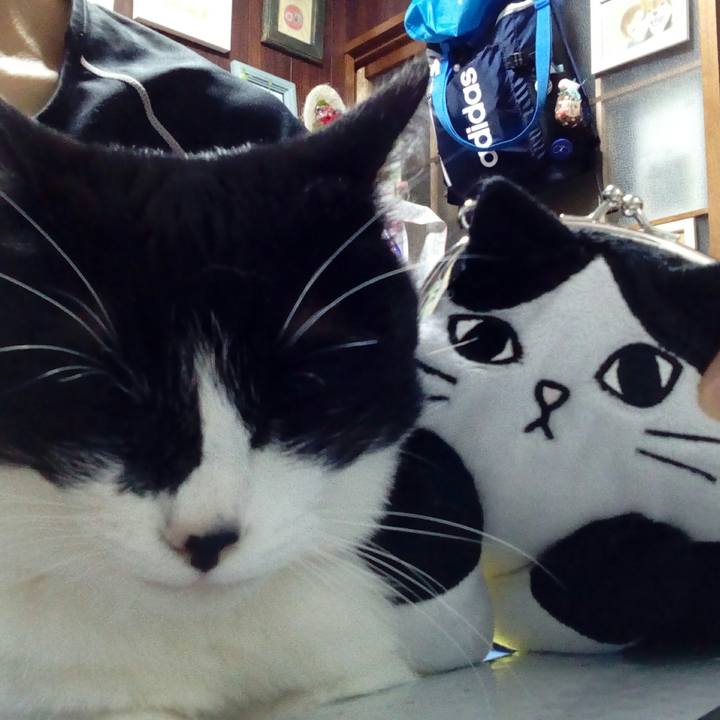 03d77a19 5911 4c14 b3d5 dc9925f36e6a