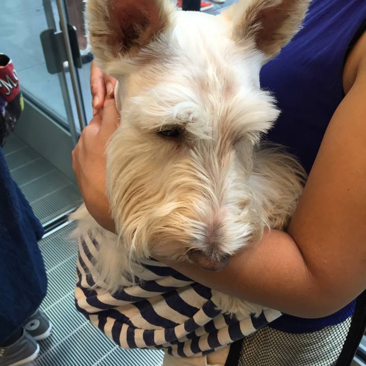 03d7da5e 502f 4ce3 bc1f 00b3b4c9425f