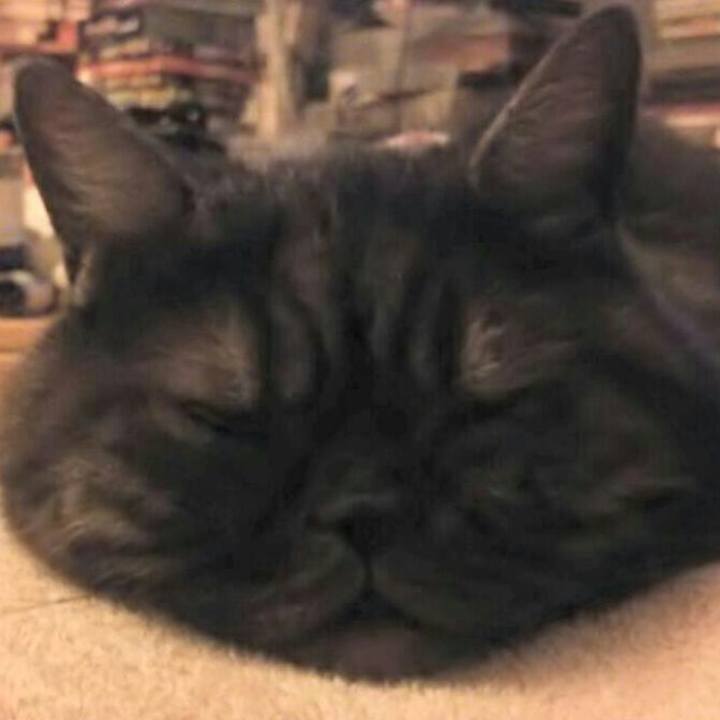 03d8767b a878 4ca0 a3fe 797d4238dcaa