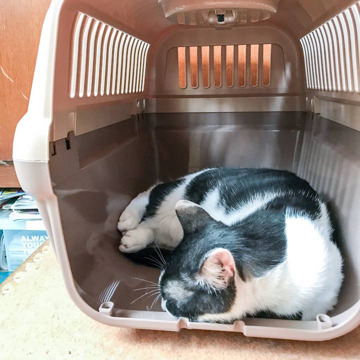 03d88b34 3e1c 43d8 b8d2 40155592ab19