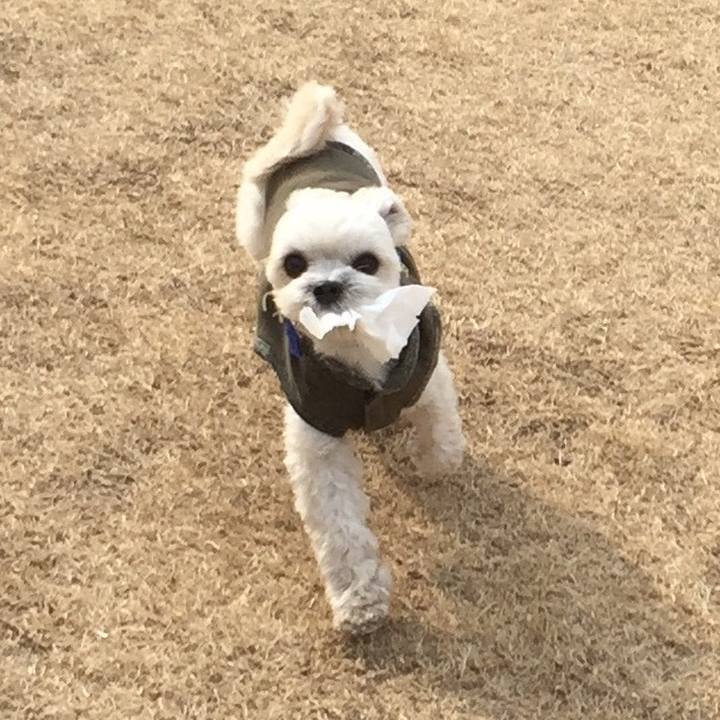 03d952df 4276 4200 bef7 59e2c7f0b5a9