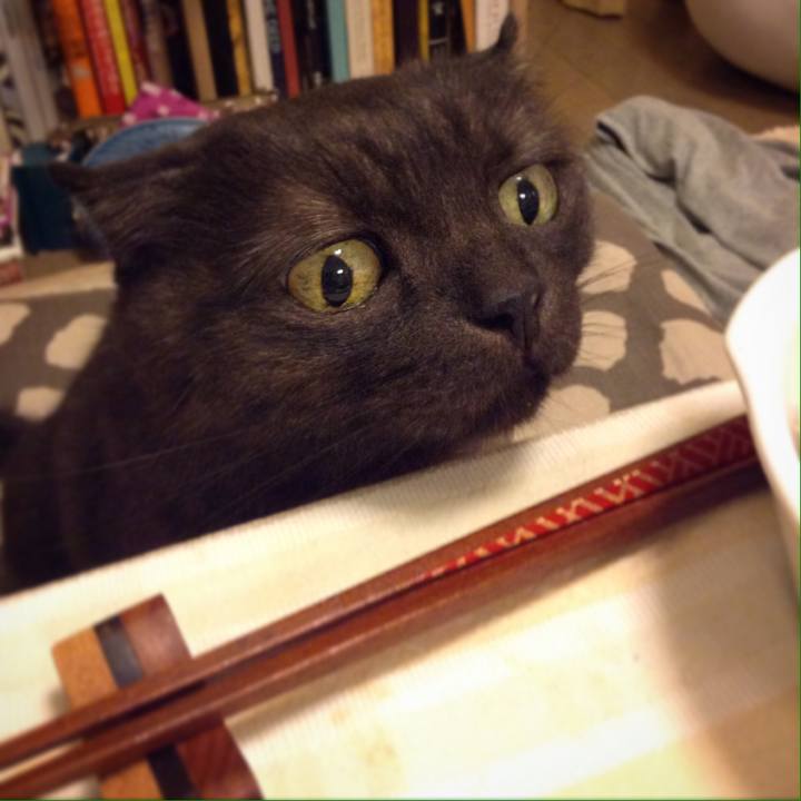 03d980c1 d26a 4cd2 bfef c1a5abda719c