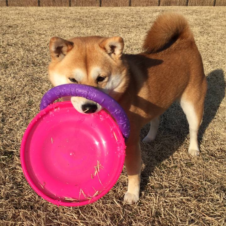 03d99d13 3309 4e39 935f 88391e041cf9