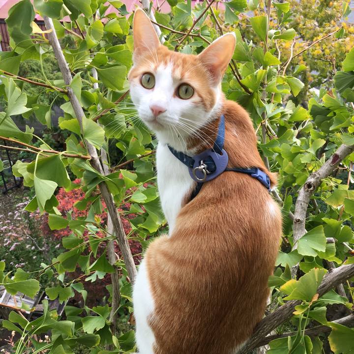 03daa0b0 d546 4ecd 8b4c 27f27851679e