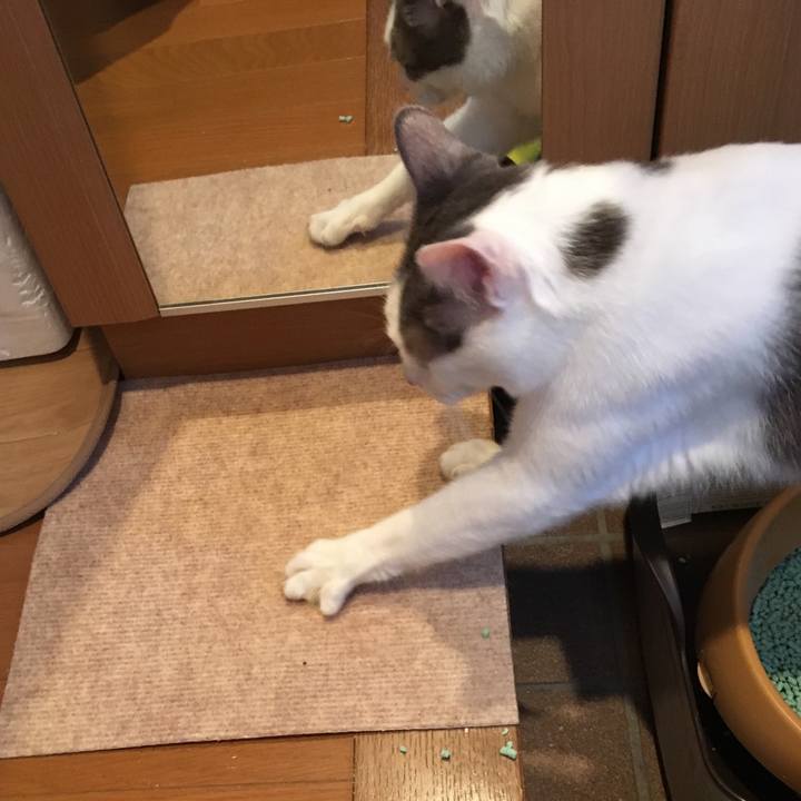 03db7a18 85d9 43e1 bcdf 6a45b806dfe1