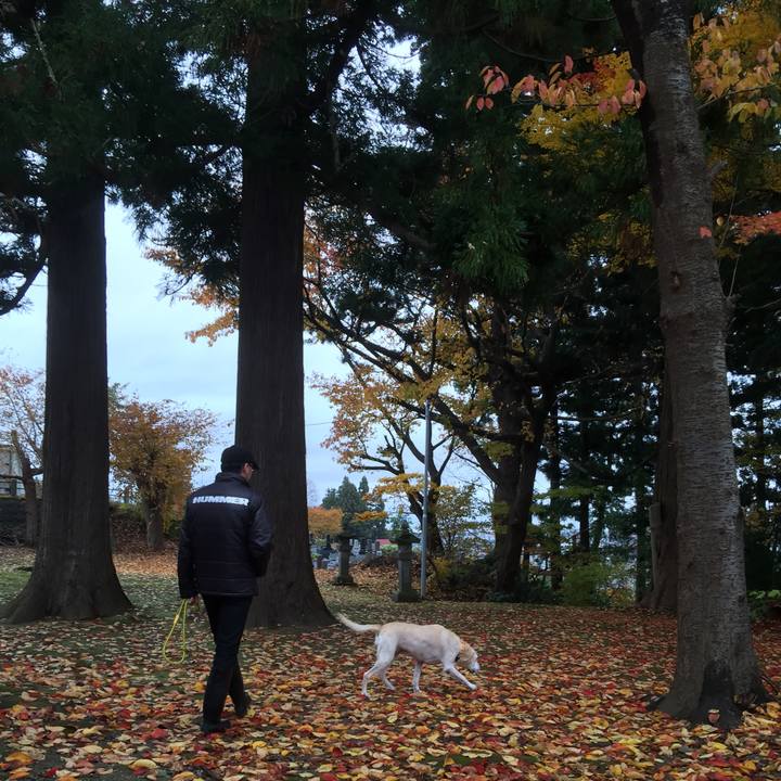 03db85fe 0da0 4c8f bbe1 7e9fb4bb3979