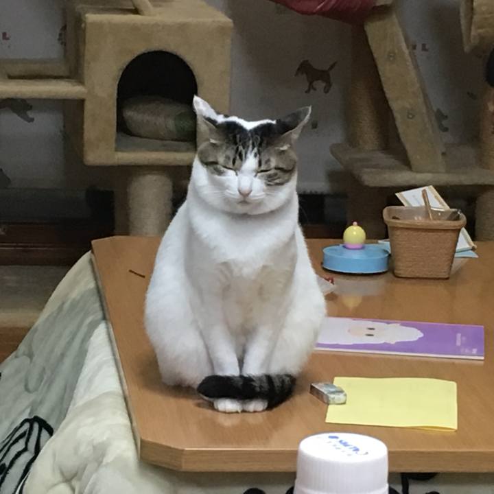 03db9bf5 c3f3 494f a604 4b88edcc81b4