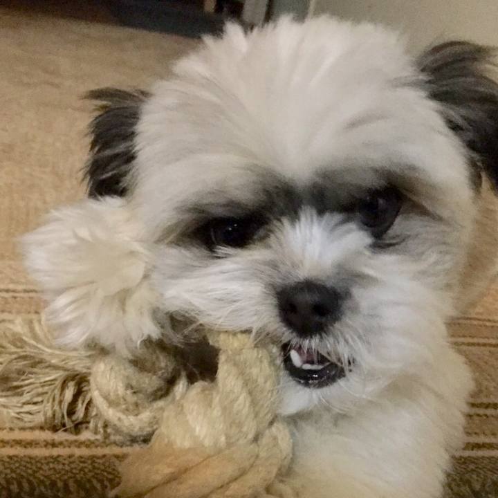 03de2e75 199f 4b49 9ff5 b2756aa0a40a