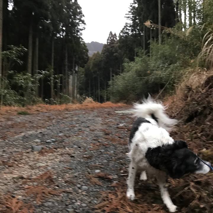 03de8521 ea25 48dc 91d6 3dc921bdb1a4