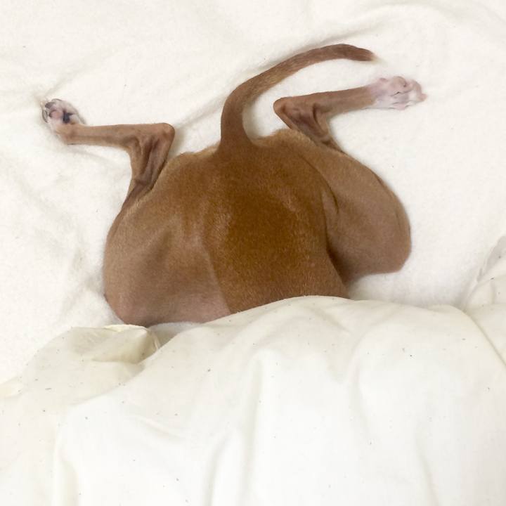 03de9fa7 ba05 4216 b314 de4abbc769eb