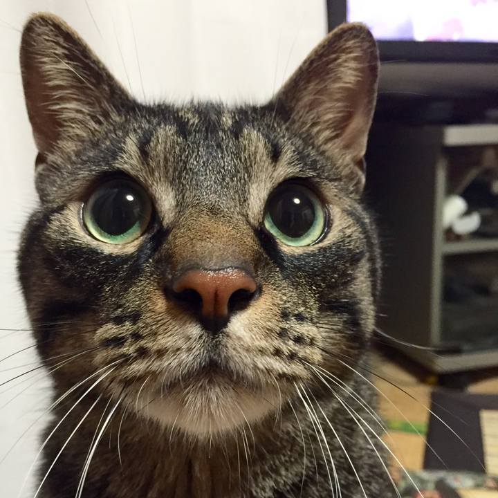 03dede3b 4e4a 4213 a089 333de45973fe