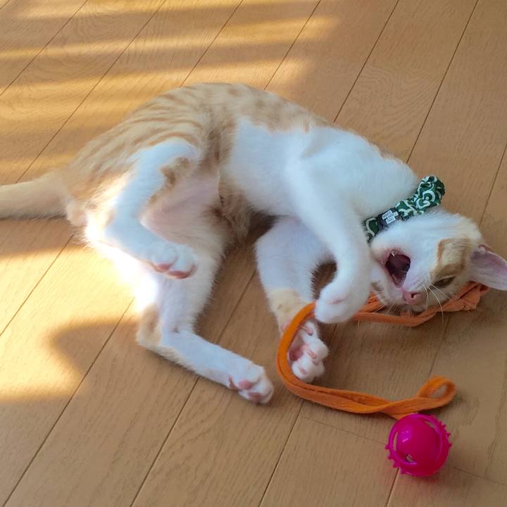 03df5544 98a7 48a1 a5c6 b1d9e795a25e