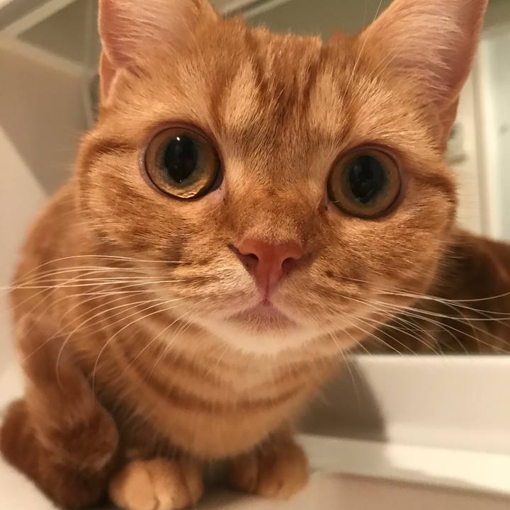 03dfe572 f53b 41f0 8f88 6da6cf099e40