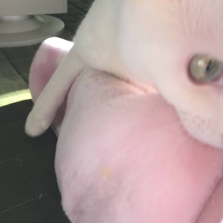 03e018a6 9564 4e38 a734 1cfbac2e2572