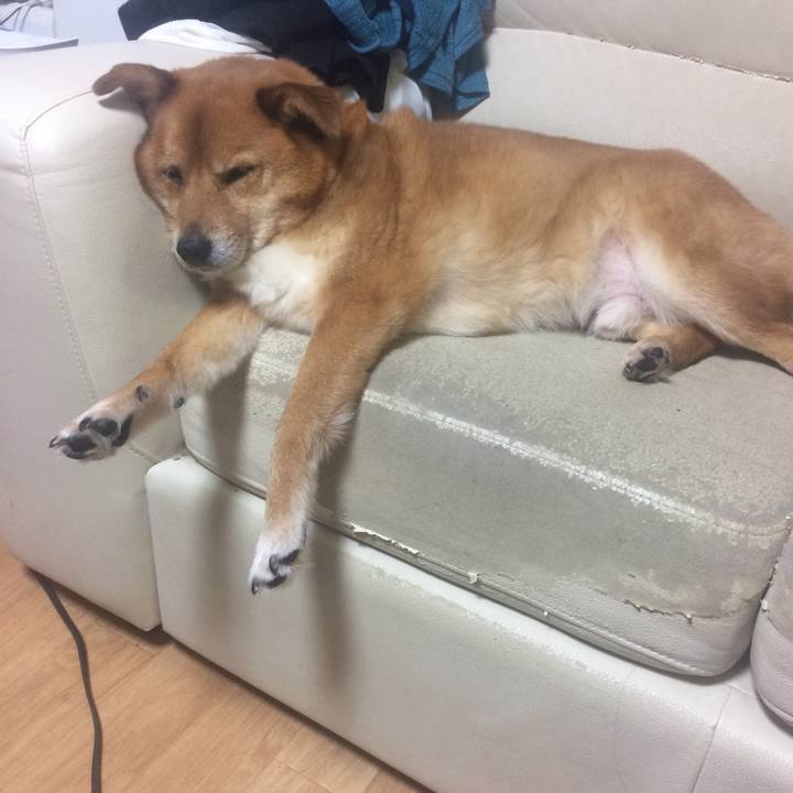 03e0565a a70e 4268 a21a edc3c6562446