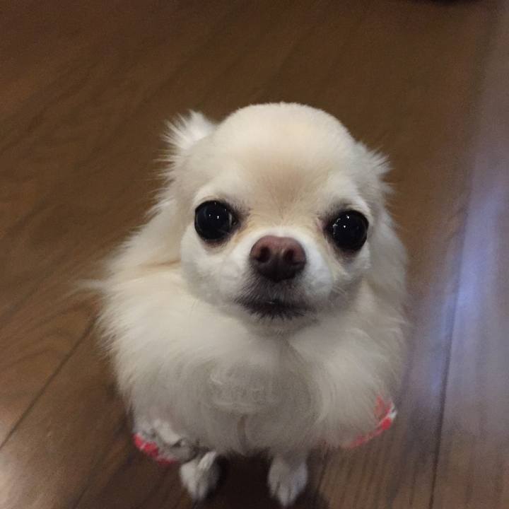 03e065d8 7e68 4801 b387 75f6c8093e7e