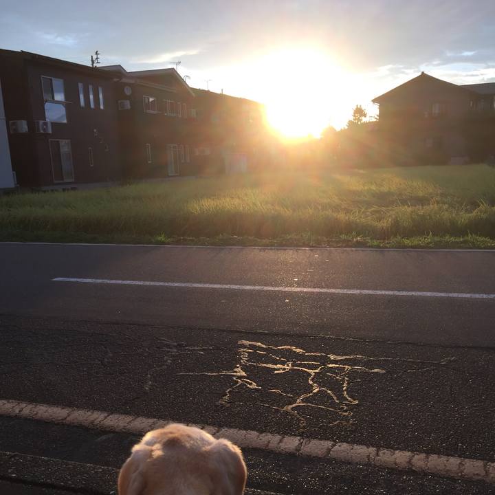 03e193c3 4d38 48cf ae11 429d038ed0cb