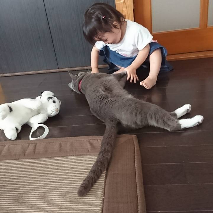 03e19842 4e8a 48bf 97ab bac9a1e934a0