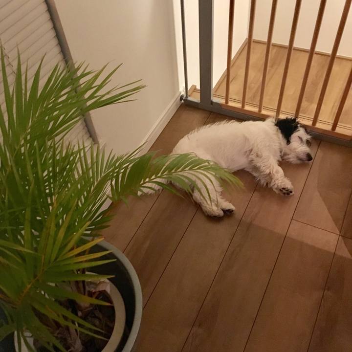 03e1ee0c c026 4e3b 9a42 457563e8ffa5