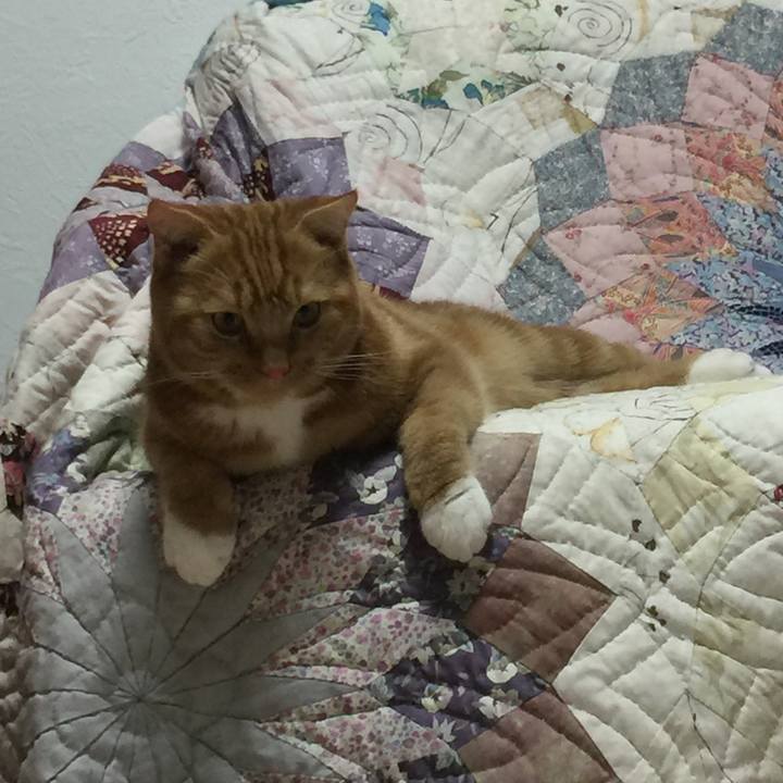 03e22f48 30d7 4d8b a2e8 7527594fc628