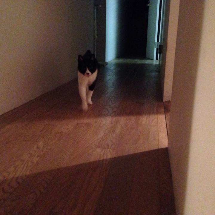 03e240ac 1e15 41d7 ab21 5789b1ae47f9