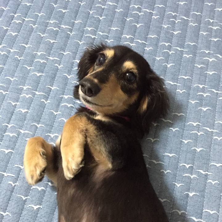 03e2c571 e869 40d3 b5dc b440c5ae9944