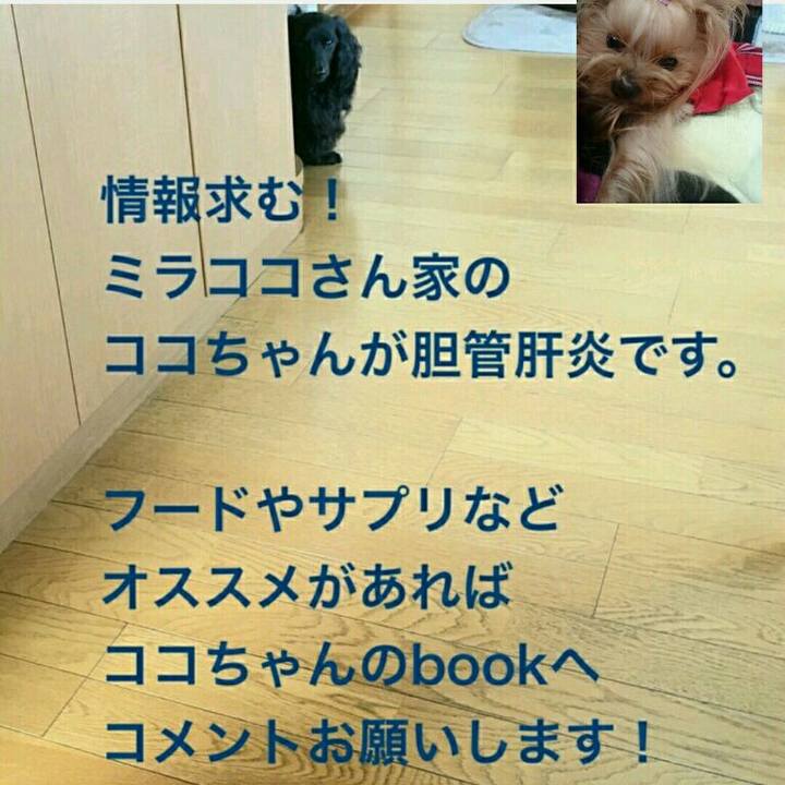 03e2d265 89c4 49e9 8a23 9ffbaac5ca00