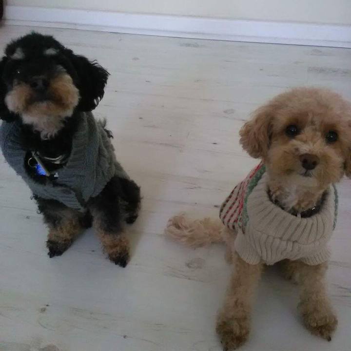 03e3200b a4fe 4c87 8458 b58dcab460de