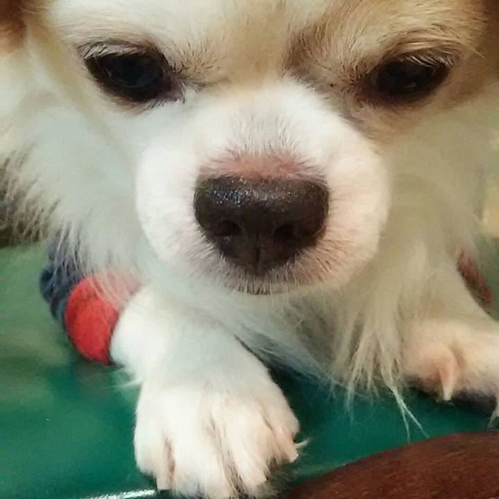 03e35a39 0449 4669 bc4d 7dd74584ac43