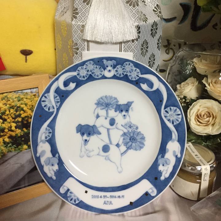 03e36987 8d6d 4d34 abbb 85c32bee9b33