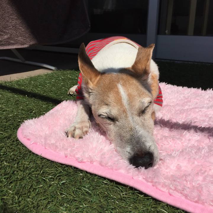 03e3765e 3a2b 4fb3 9daf d14450e392bc