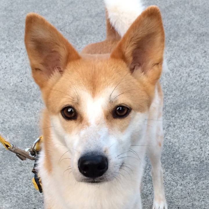 03e3d705 ed0e 403c 96f9 8c0b810c055e