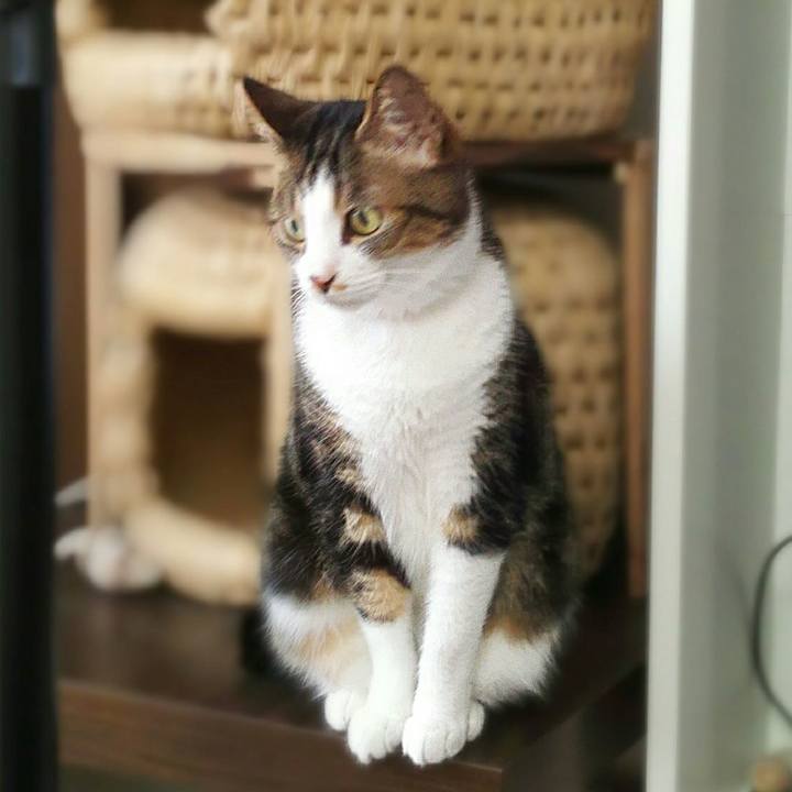 03e400bb 1fe6 47f6 9d3a 7e7ed4d0a912