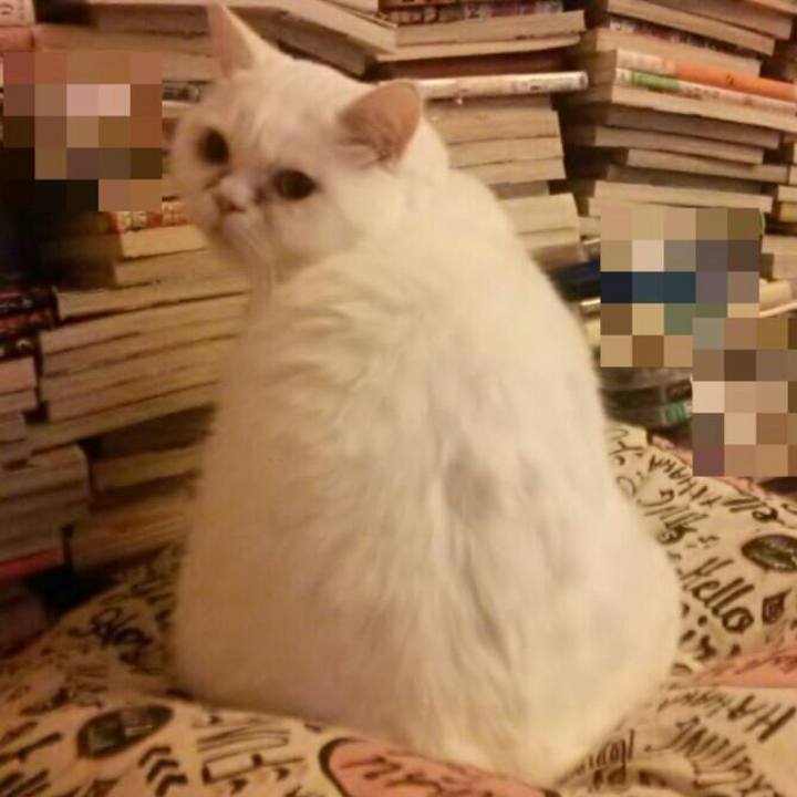 03e41f6d bb58 4ac0 9864 24827a2a86d0