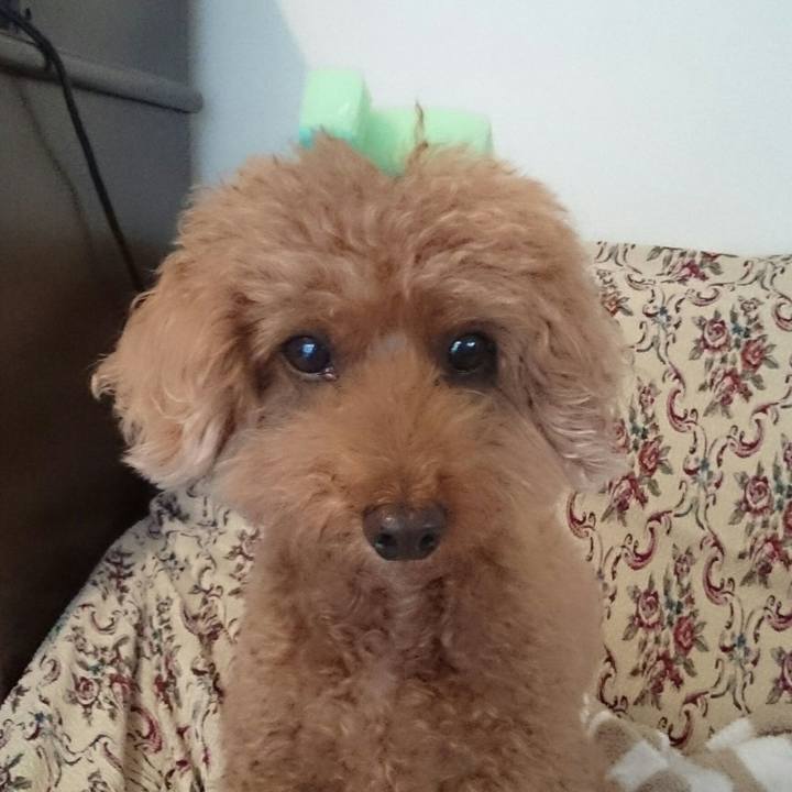 03e47150 5d9e 45ef a811 df23ef42f6e7