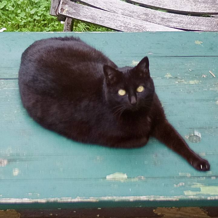 03e50a35 ff22 40f9 8945 8cbd0efb89c8