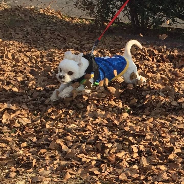 03e5dfed d22d 4f25 8792 ed53cc90555d