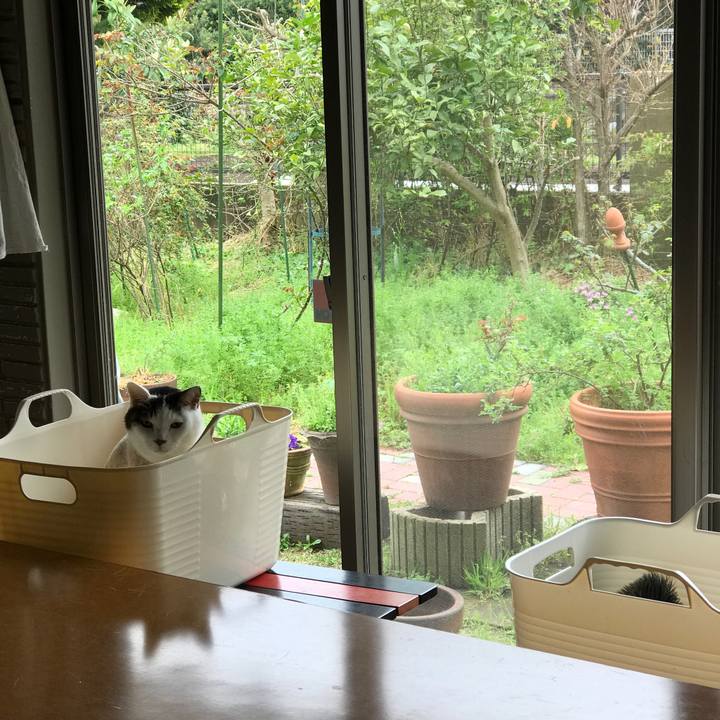 03e63da7 3657 4852 abb6 781b34704423