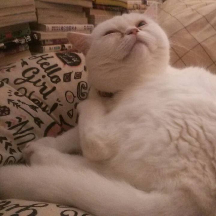 03e6e45c 9834 4def b236 19c6bbad14f8