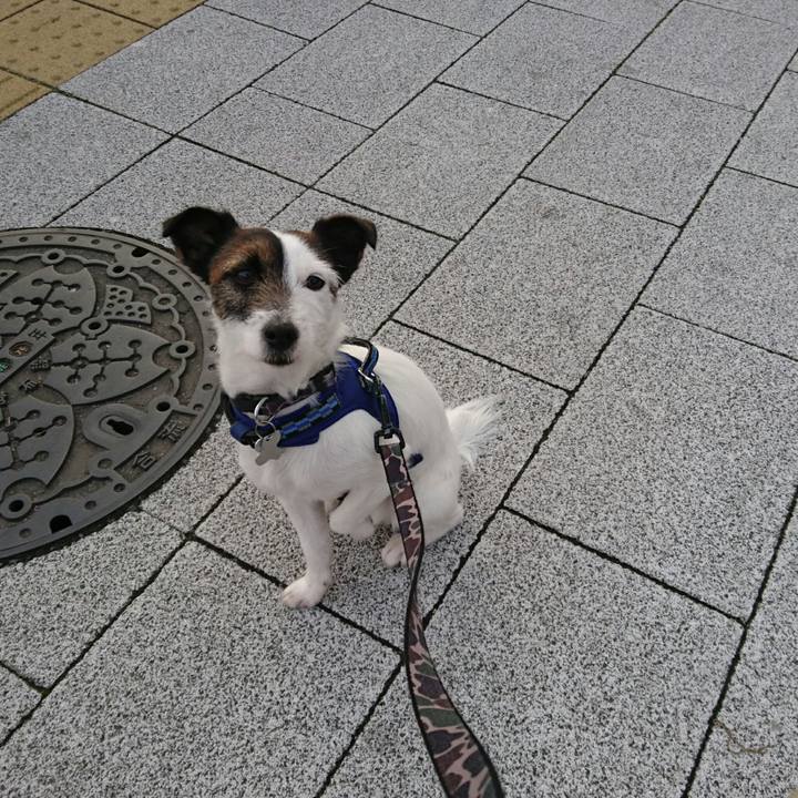 03e79933 30d7 441f 9ecb 9a79eab0faa6