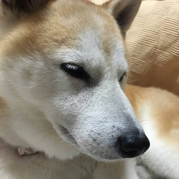 03e7af4f e7d6 482f 97e6 a47fe6b5f4ae