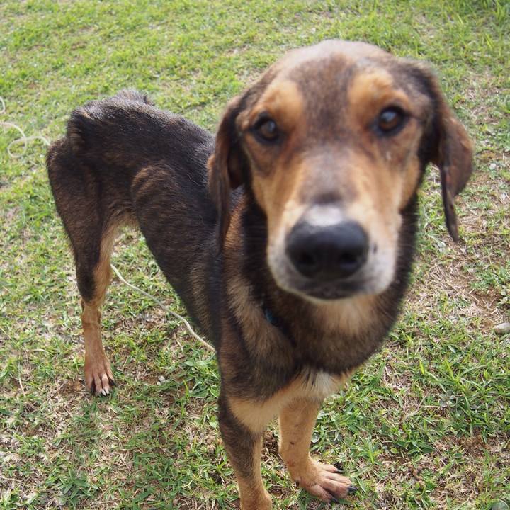 03e7f757 7a58 418f 8c6d a89ea7a7f9db